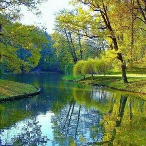 Meet your Posher, Troy